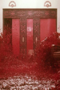 Shining, The